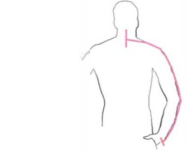 Center Back to Wrist